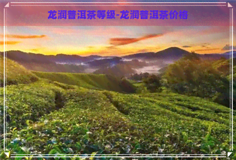 龙润普洱茶等级-龙润普洱茶价格