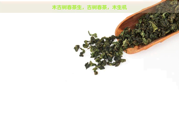 木古树春茶生，古树春茶，木生机