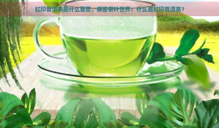 红印普洱茶是什么意思，解密茶叶世界：什么是红印普洱茶？