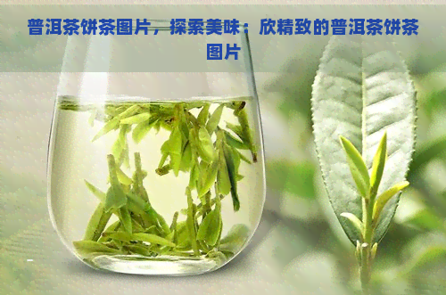 普洱茶饼茶图片，探索美味：欣精致的普洱茶饼茶图片