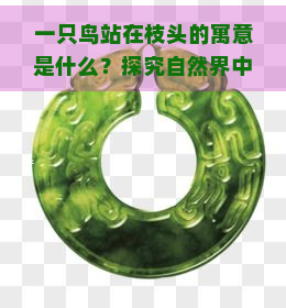 一只鸟站在枝头的寓意是什么？探究自然界中的象征意义