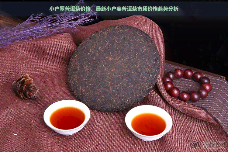 小户塞普洱茶价格，最新小户赛普洱茶市场价格趋势分析