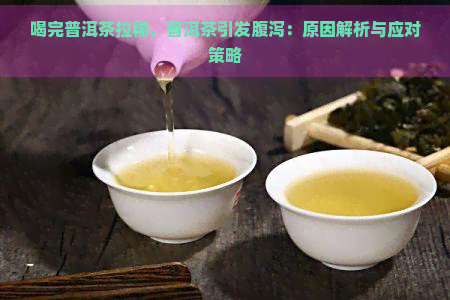 喝完普洱茶拉稀，普洱茶引发腹泻：原因解析与应对策略