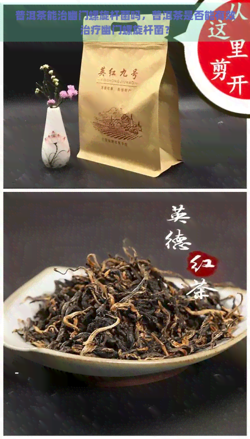 普洱茶能治幽门螺旋杆菌吗，普洱茶是否能有效治疗幽门螺旋杆菌？