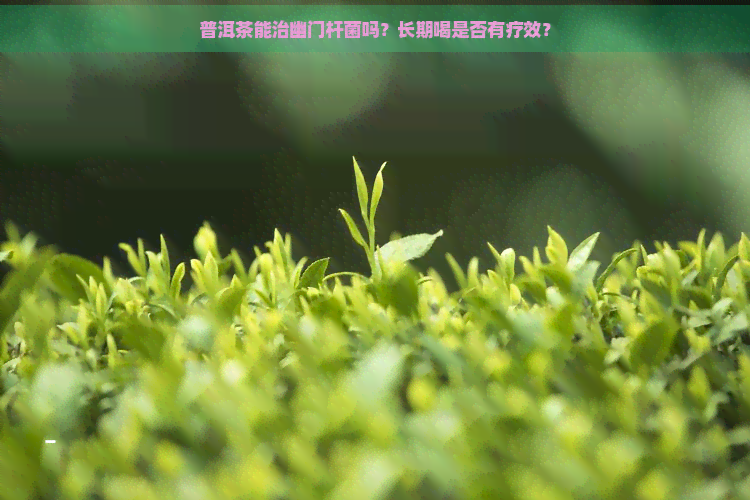 普洱茶能治幽门杆菌吗？长期喝是否有疗效？