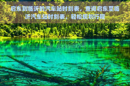 启东到临沂的汽车站时刻表，查询启东至临沂汽车站时刻表，轻松规划行程