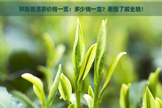 双陈普洱茶价格一览：多少钱一盒？看图了解全貌！