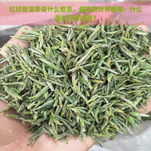 红印普洱茶是什么意思，解密茶叶界新宠：什么是红印普洱茶？