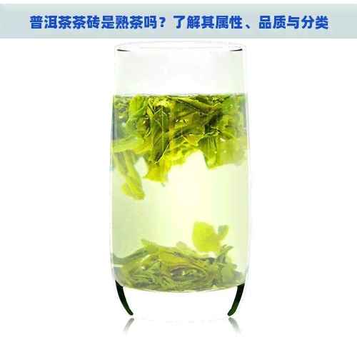 普洱茶茶砖是熟茶吗？了解其属性、品质与分类