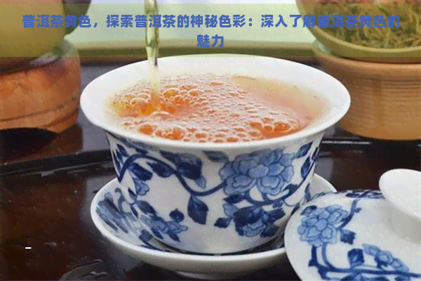 普洱茶黄色，探索普洱茶的神秘色彩：深入了解普洱茶黄色的魅力