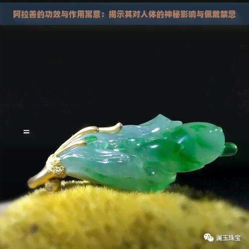 阿拉善的功效与作用寓意：揭示其对人体的神秘影响与佩戴禁忌