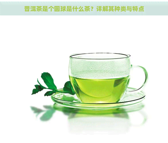 普洱茶是个圆球是什么茶？详解其种类与特点