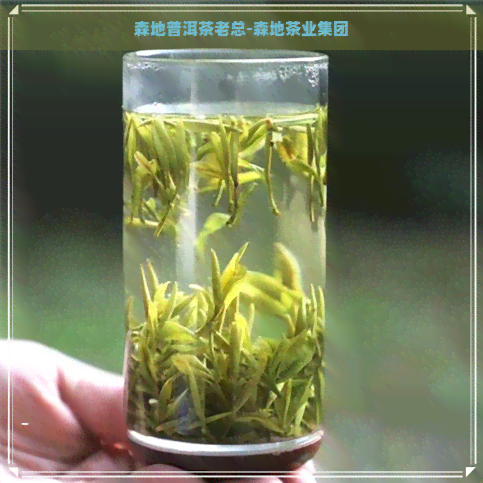 森地普洱茶老总-森地茶业集团