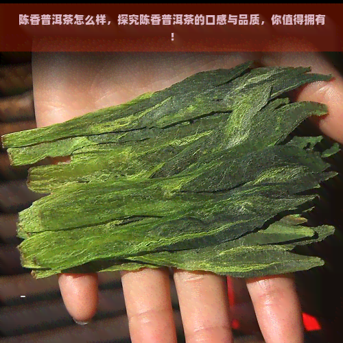 陈香普洱茶怎么样，探究陈香普洱茶的口感与品质，你值得拥有！