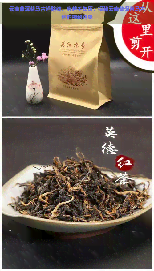 云南普洱茶马古道路线，穿越千年历：探秘云南普洱茶马古道的神秘路线