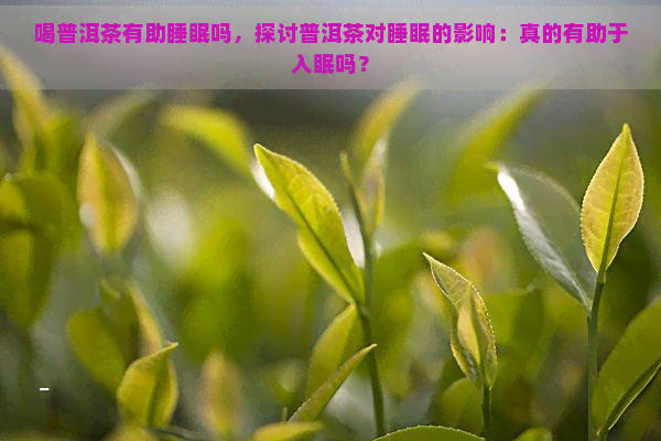 喝普洱茶有助睡眠吗，探讨普洱茶对睡眠的影响：真的有助于入眠吗？