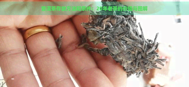 普洱茶存放方法和条件：20年老茶的价值与图解