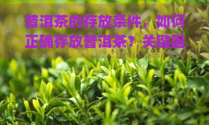 普洱茶的存放条件，如何正确存放普洱茶？关键因素大揭秘！