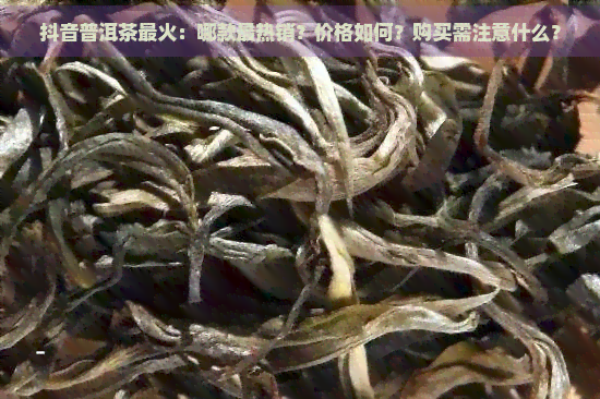 抖音普洱茶最火：哪款最热销？价格如何？购买需注意什么？