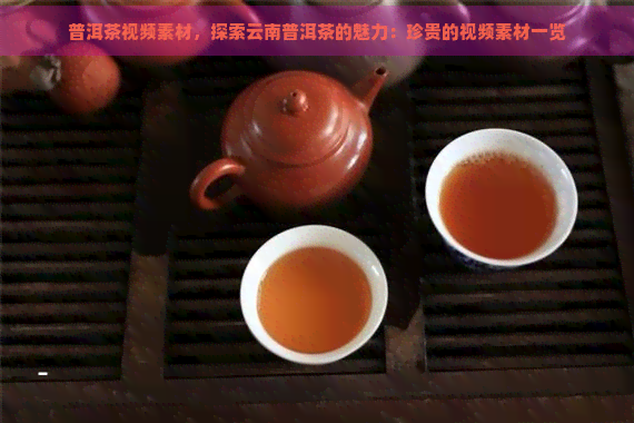 普洱茶视频素材，探索云南普洱茶的魅力：珍贵的视频素材一览