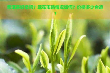 普洱茶好卖吗？现在市场情况如何？价格多少合适？