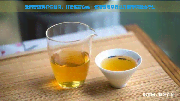 云南普洱茶打假新闻，打击假冒伪劣！云南普洱茶行业开展专项整治行动