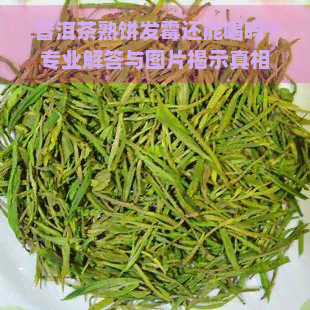 普洱茶熟饼发霉还能喝吗？专业解答与图片揭示真相！