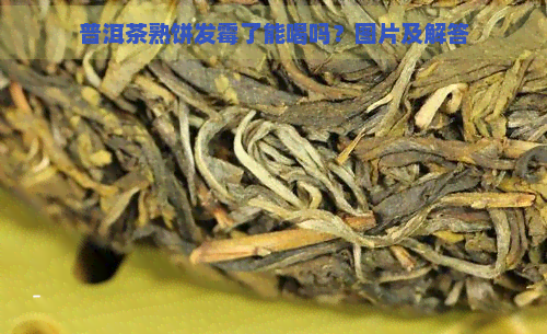 普洱茶熟饼发霉了能喝吗？图片及解答