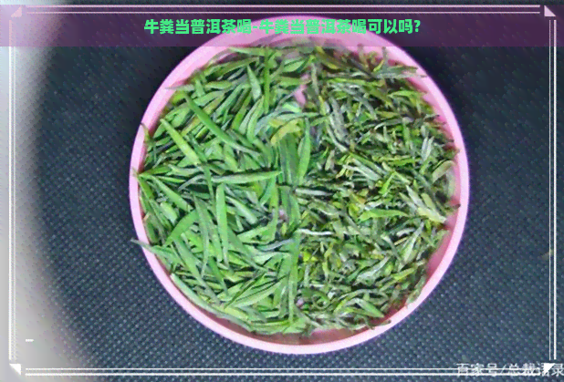 牛粪当普洱茶喝-牛粪当普洱茶喝可以吗?