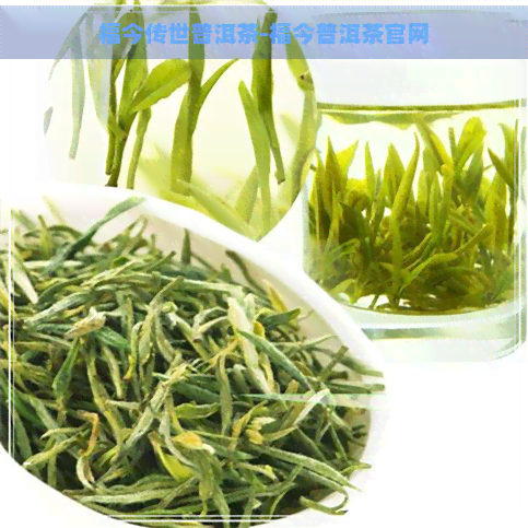 福今传世普洱茶-福今普洱茶官网