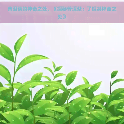 普洱茶的神奇之处，《探秘普洱茶：了解其神奇之处》