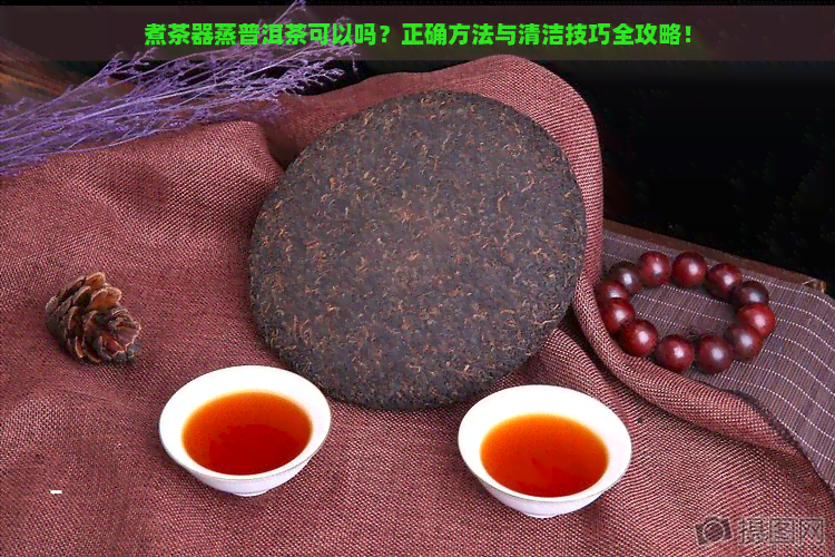 煮茶器蒸普洱茶可以吗？正确方法与清洁技巧全攻略！