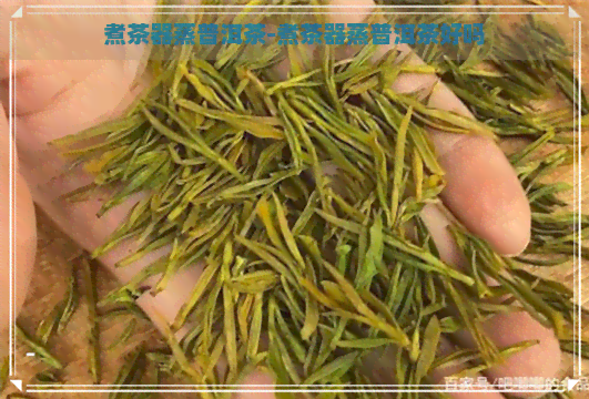 煮茶器蒸普洱茶-煮茶器蒸普洱茶好吗