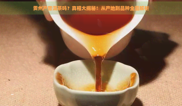 贵州产普洱茶吗？真相大揭秘！从产地到品种全面解析