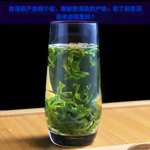 普洱茶产自哪个省，揭秘普洱茶的产地：你了解普洱茶来自哪里吗？