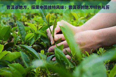 普洱茶地方，探索中国独特风味：普洱茶的地方特色与历