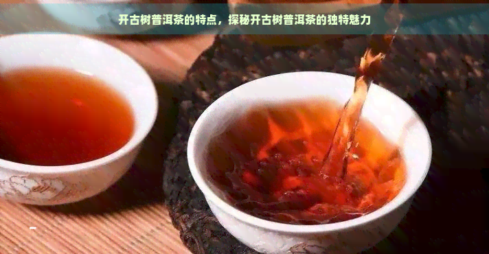 开古树普洱茶的特点，探秘开古树普洱茶的独特魅力