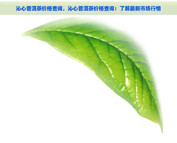 沁心普洱茶价格查询，沁心普洱茶价格查询：了解最新市场行情