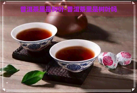 普洱茶里是树叶-普洱茶里是树叶吗