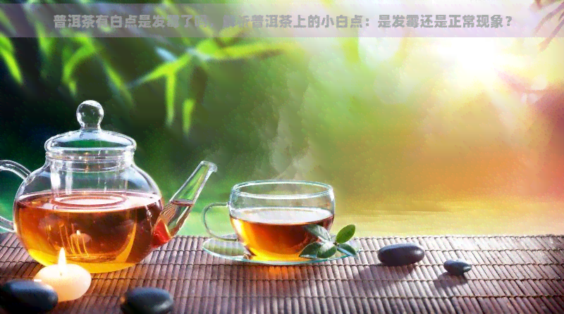 普洱茶有白点是发霉了吗，解析普洱茶上的小白点：是发霉还是正常现象？