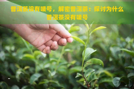 普洱茶没有唛号，解密普洱茶：探讨为什么普洱茶没有唛号