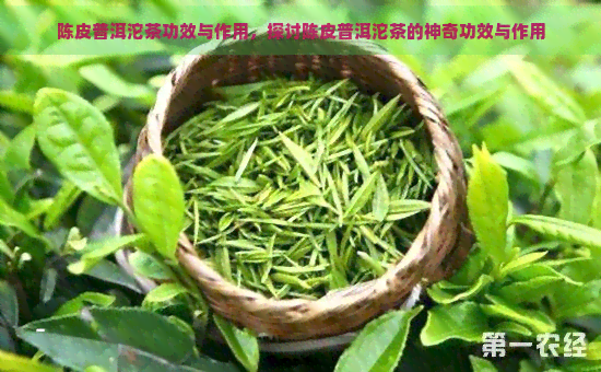 陈皮普洱沱茶功效与作用，探讨陈皮普洱沱茶的神奇功效与作用