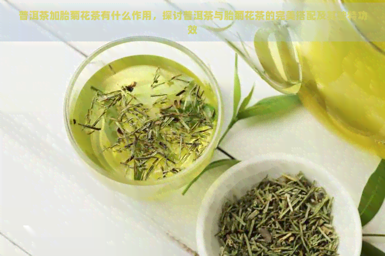 普洱茶加胎菊花茶有什么作用，探讨普洱茶与胎菊花茶的完美搭配及其独特功效