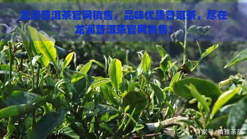 龙润普洱茶官网销售，品味优质普洱茶，尽在龙润普洱茶官网销售！