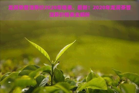 龙润茶普洱茶价2020年格表，最新！2020年龙润茶普洱茶价格表全解析