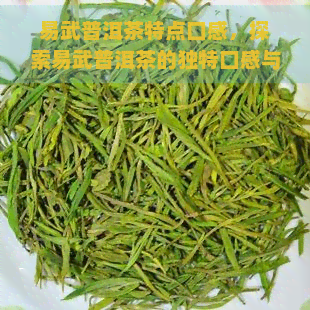 易武普洱茶特点口感，探索易武普洱茶的独特口感与特点