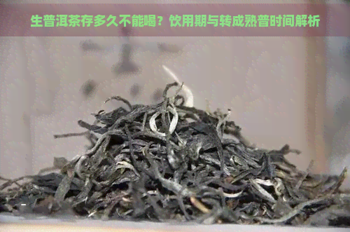 生普洱茶存多久不能喝？饮用期与转成熟普时间解析