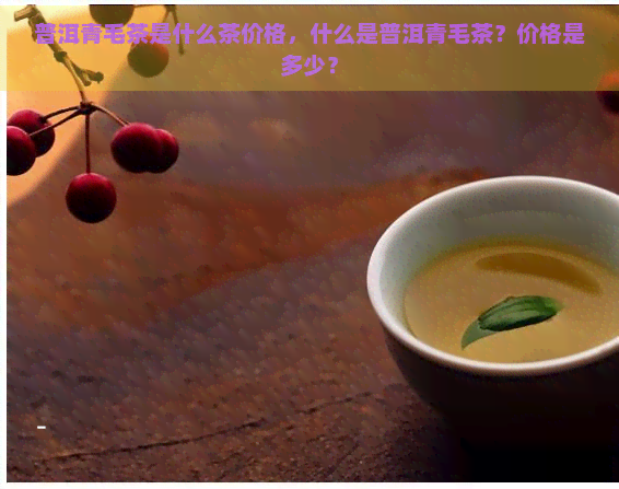 普洱青毛茶是什么茶价格，什么是普洱青毛茶？价格是多少？