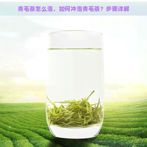 青毛茶怎么泡，如何冲泡青毛茶？步骤详解