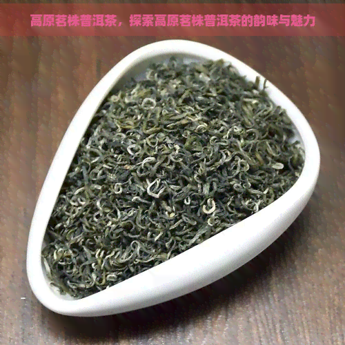 高原茗株普洱茶，探索高原茗株普洱茶的韵味与魅力